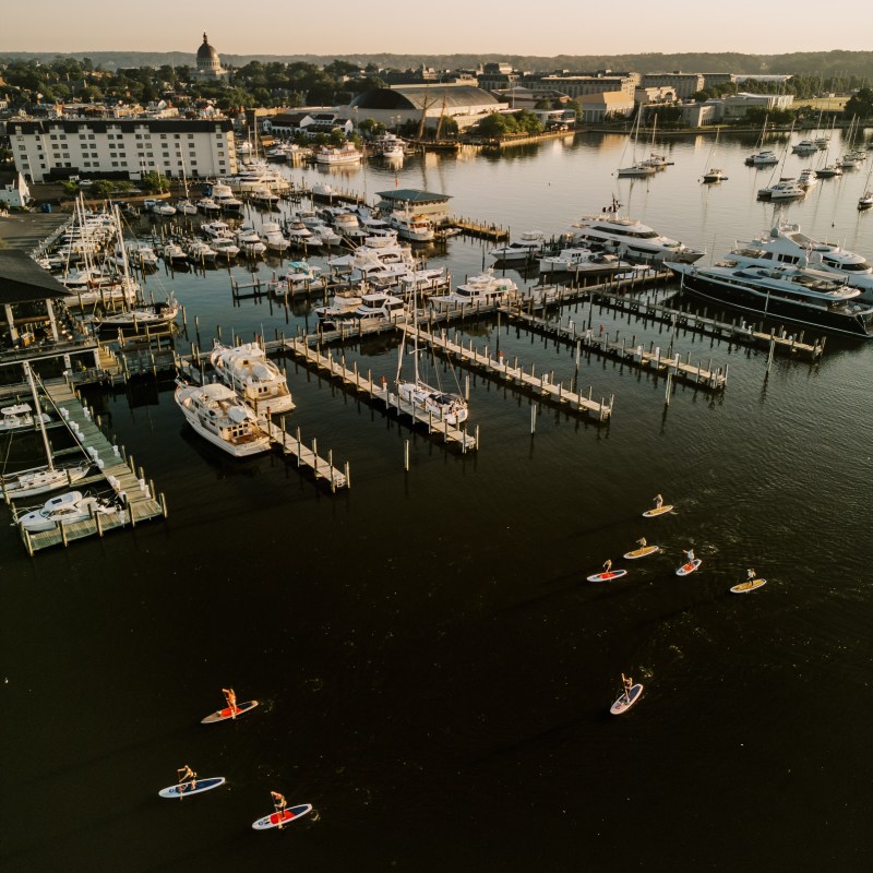 Aerial view of people paddleboarding near marina with boats and buildings.