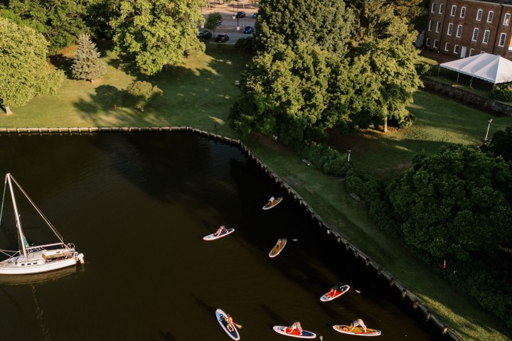 People paddleboarding on a calm river near a park with trees and buildings.