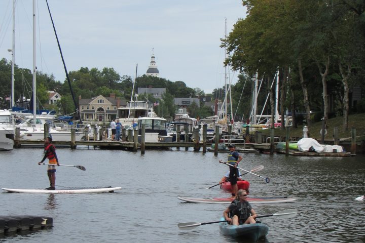 People kayaking on a marina with boats and trees in the background.