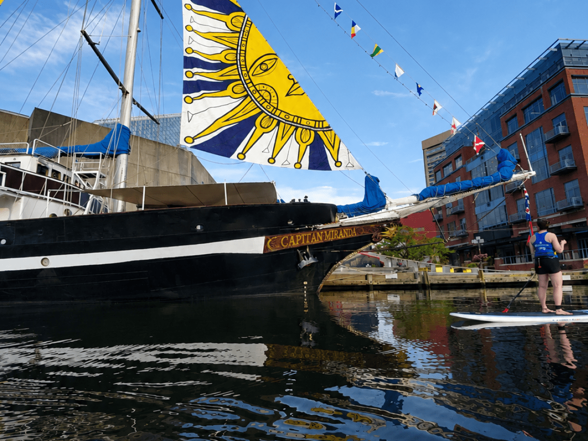 Tall ship with sun-themed sails docked near buildings, people paddleboarding in foreground.