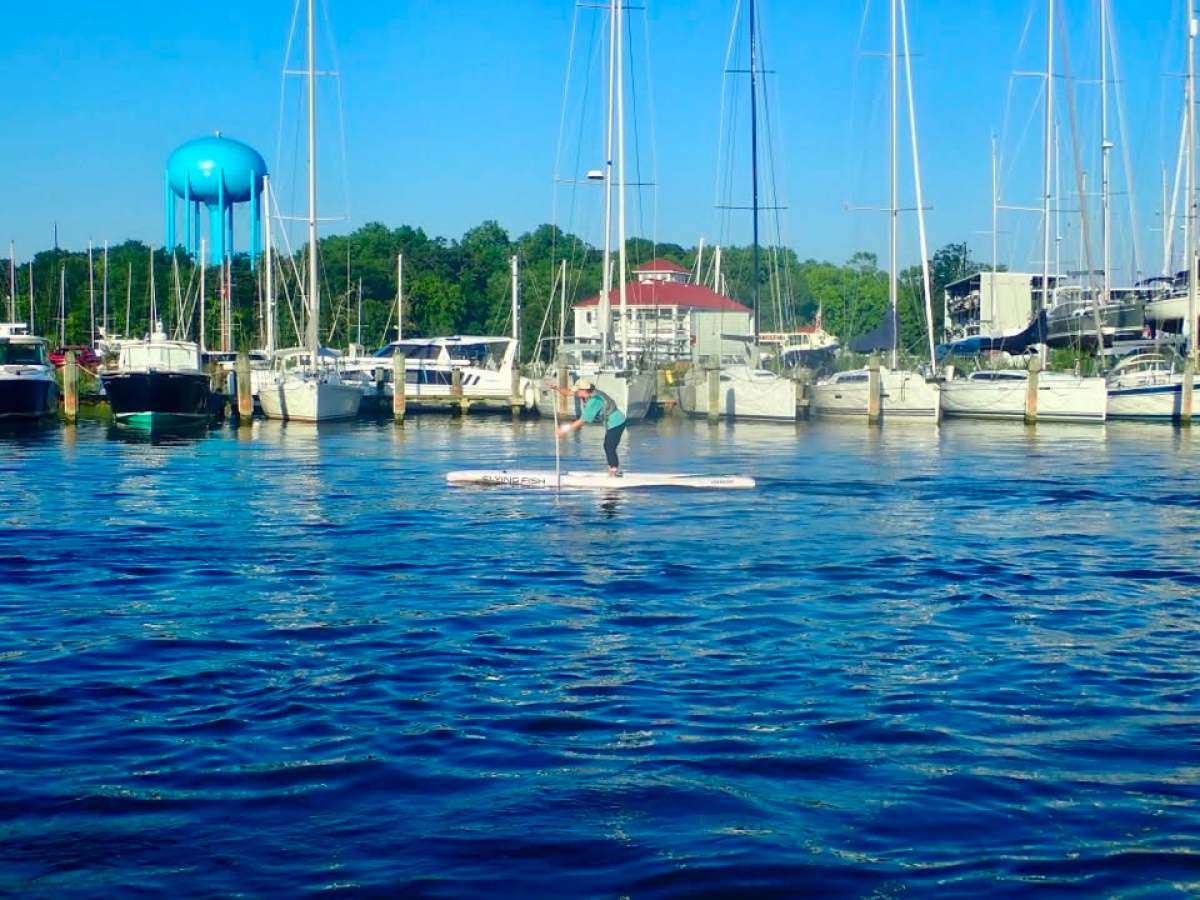 Person paddleboarding in a marina with boats and a water tower in the background.