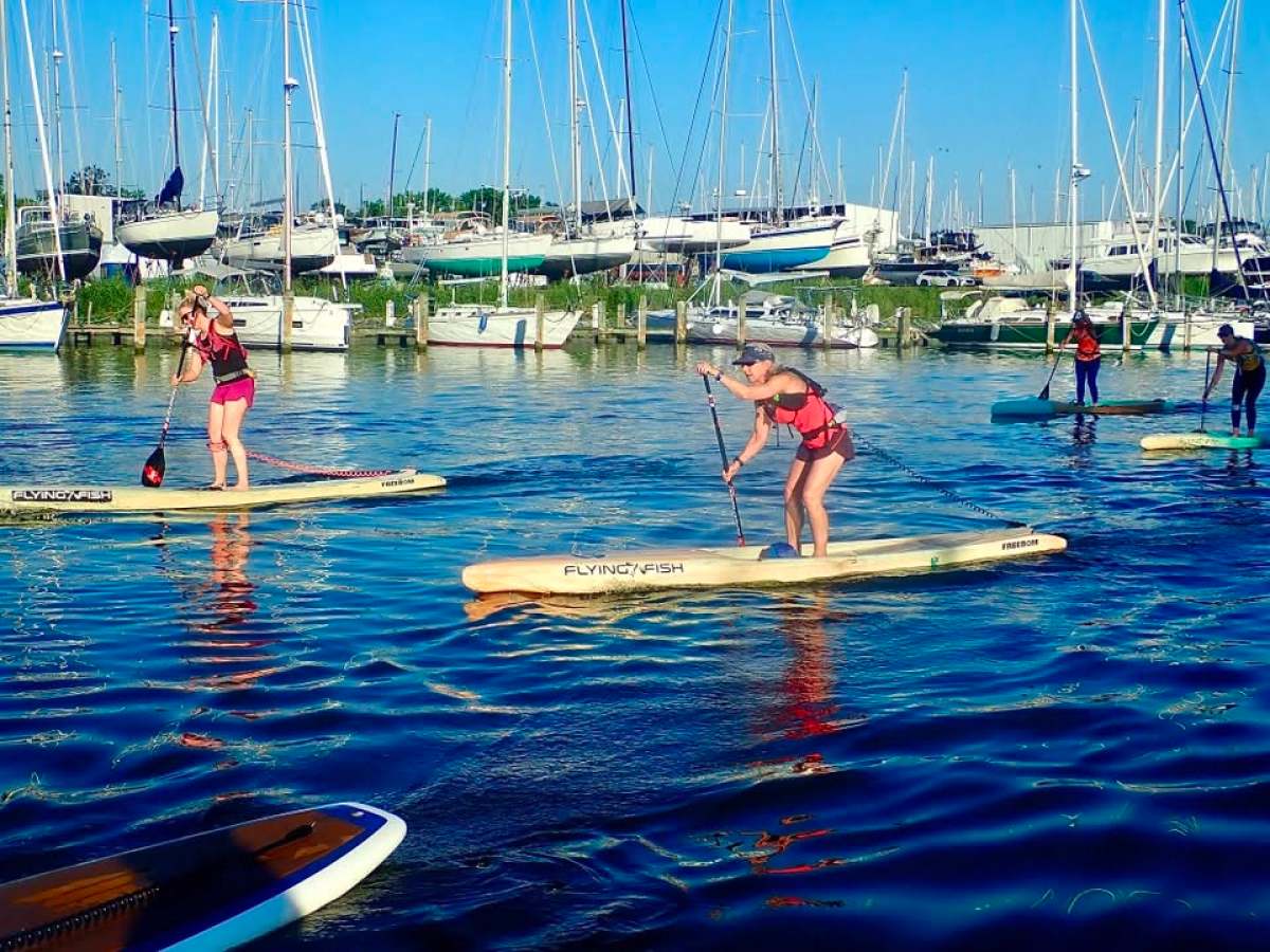 People paddleboarding near moored sailboats in a marina.