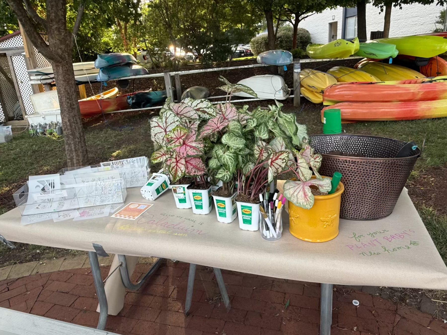 Outdoor table with plants, boating items, and gardening supplies.